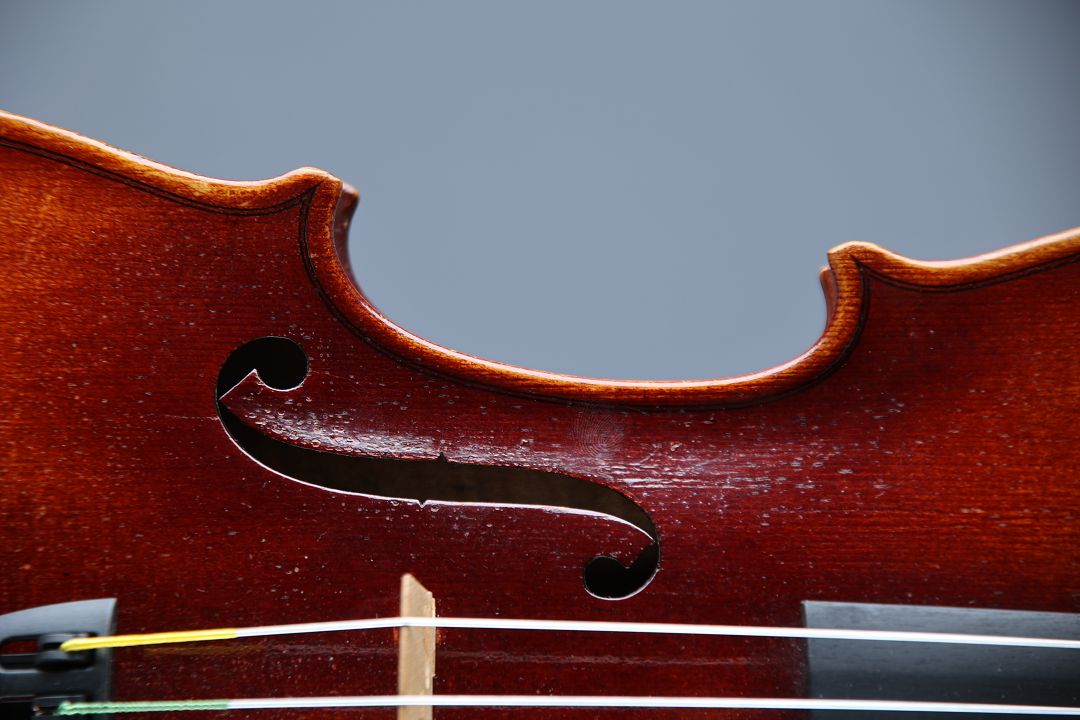 Pleissel Georg - Budweis 1896 - G-802